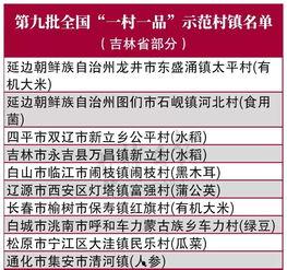 吉林四平头条最新爆料,揭秘吉林四平重大事件！”