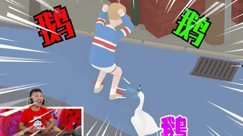 爆料大鹅解说是谁啊最新,爆料大鹅解说背后的神秘人物